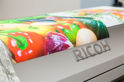Ricoh       Ricoh Pro L4160
